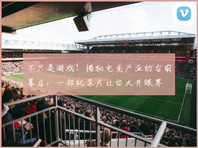 不只是游戏!揭秘电竞产业的台前幕后,一部纪录片让你大开眼界