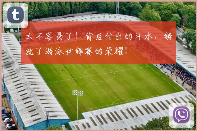 太不容易了!背后付出的汗水,铸就了游泳世锦赛的荣耀!